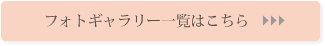 フォトギャラリー一覧へのリンク