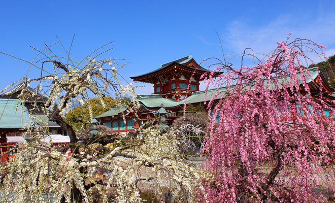 防府天満宮02